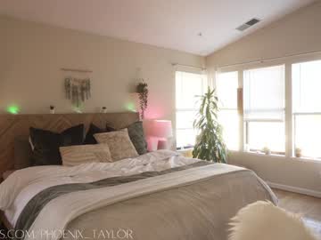 webcam girl phoenix_taylor live cam image #12794551