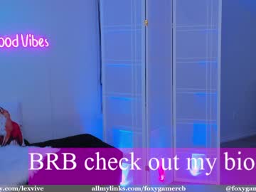 webcam girl foxy_gamer live cam image #3767039