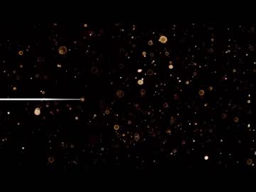 webcam girl _djad_ live cam image #7770315