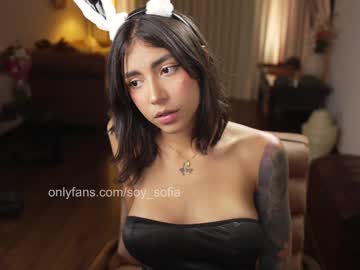 webcam girl soy_sofia live cam image #13046275
