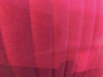 webcam girl ehotlovea live cam image #8230808
