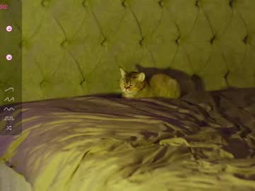 webcam girl angeellina live cam image #7124335