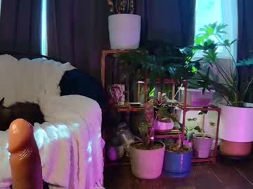 webcam girl elenafealy live cam image #7728513