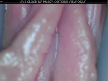 webcam girl adulting live cam image #1367278