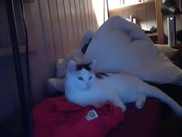 webcam man mattherz live cam image #644960