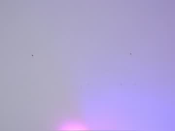 webcam girl sapphirealice live cam image #1764515