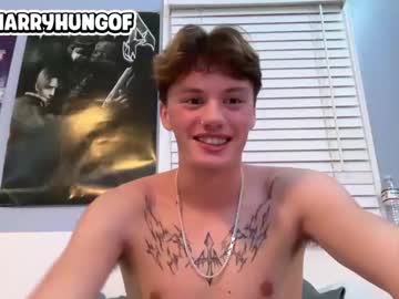 webcam man harryhungof live cam image #10363636