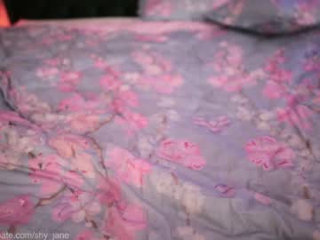 webcam girl shy_jane live cam image #7482951
