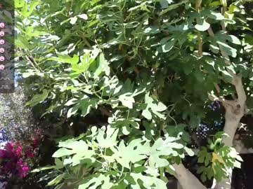 webcam girl callme_star live cam image #7169264