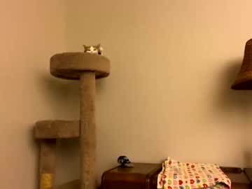 webcam girl sassy3va live cam image #254338