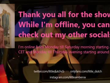 webcam girl little_dutch live cam image #2672136