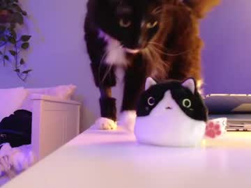 webcam girl jadelove_ live cam image #4016690