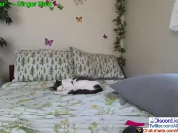 webcam girl aliceriverscam live cam image #6904217