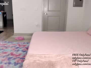 webcam girl princess_cece live cam image #6696417