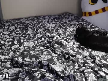 webcam girl bestblondiiecb live cam image #11123685