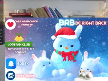 webcam girl ginger_pie live cam image #939877