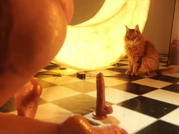 webcam girl _meganmeow_ live cam image #11680300