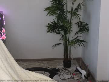 webcam girl small_blondee live cam image #10154855