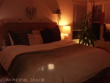 webcam girl phoenix_taylor live cam image #12814044