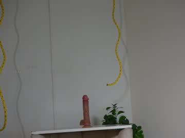 webcam girl shena_nomy live cam image #10334075