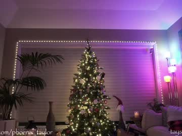 webcam girl phoenix_taylor live cam image #4495721
