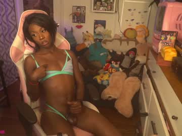 webcam tranny vanniall live cam image #2627576