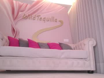 webcam girl wildtequilla live cam image #12468393