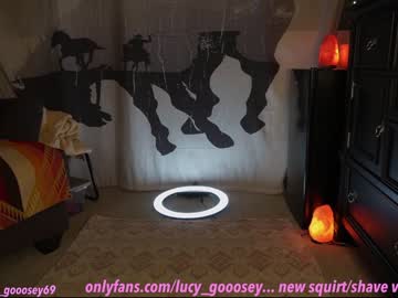 webcam girl lucy_gooosey live cam image #8965937