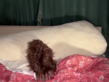 webcam girl kaileeshy live cam image #12139769