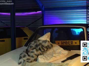 webcam girl little_dutch live cam image #6396422