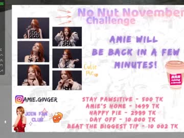 webcam girl ginger_pie live cam image #595861
