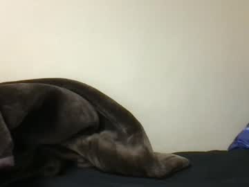 webcam man lifephpie live cam image #438746
