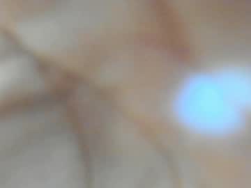 webcam girl christine0990__ live cam image #9970835