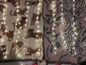 webcam girl ari_02 live cam image #7674532
