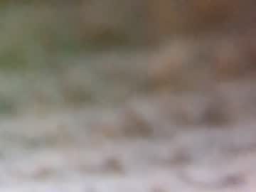 webcam man theboyjacc live cam image #1222824