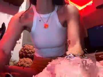 webcam girl skinnybitch4211 live cam image #8153436
