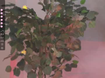 webcam girl oki_dokie live cam image #7493916