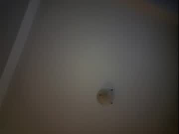 webcam couple allysplayroom live cam image #4869687