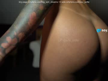 webcam girl soy_sofia live cam image #11622104
