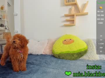 webcam girl _blaackberry live cam image #1613196