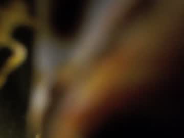 webcam girl stacimarierose live cam image #578098