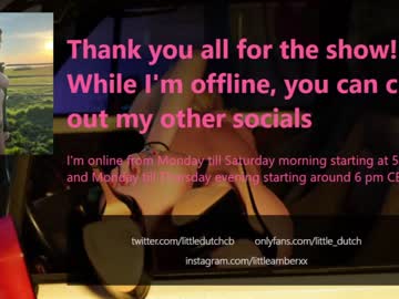 webcam girl little_dutch live cam image #2256814