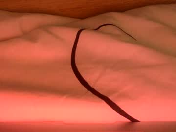 webcam girl xprsv live cam image #5539708