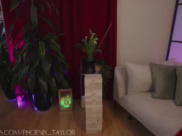 webcam girl phoenix_taylor live cam image #11948753