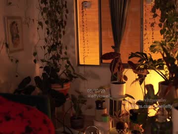 webcam girl effylowell_ live cam image #7270978