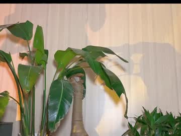 webcam girl galantini live cam image #8262977