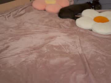 webcam girl tiny_miracle live cam image #11693010