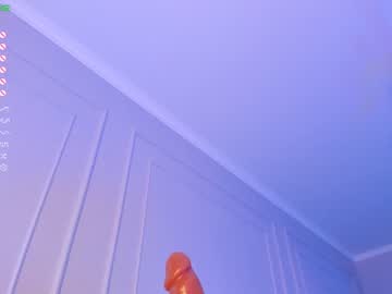 webcam girl aerri_lee live cam image #3495545