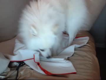 webcam girl _natycutei19 live cam image #4562658