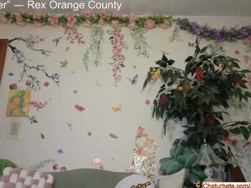webcam girl aliceriverscam live cam image #11750387